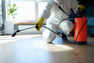 Trapdoor Spider Extermination in Fort Worth, TX